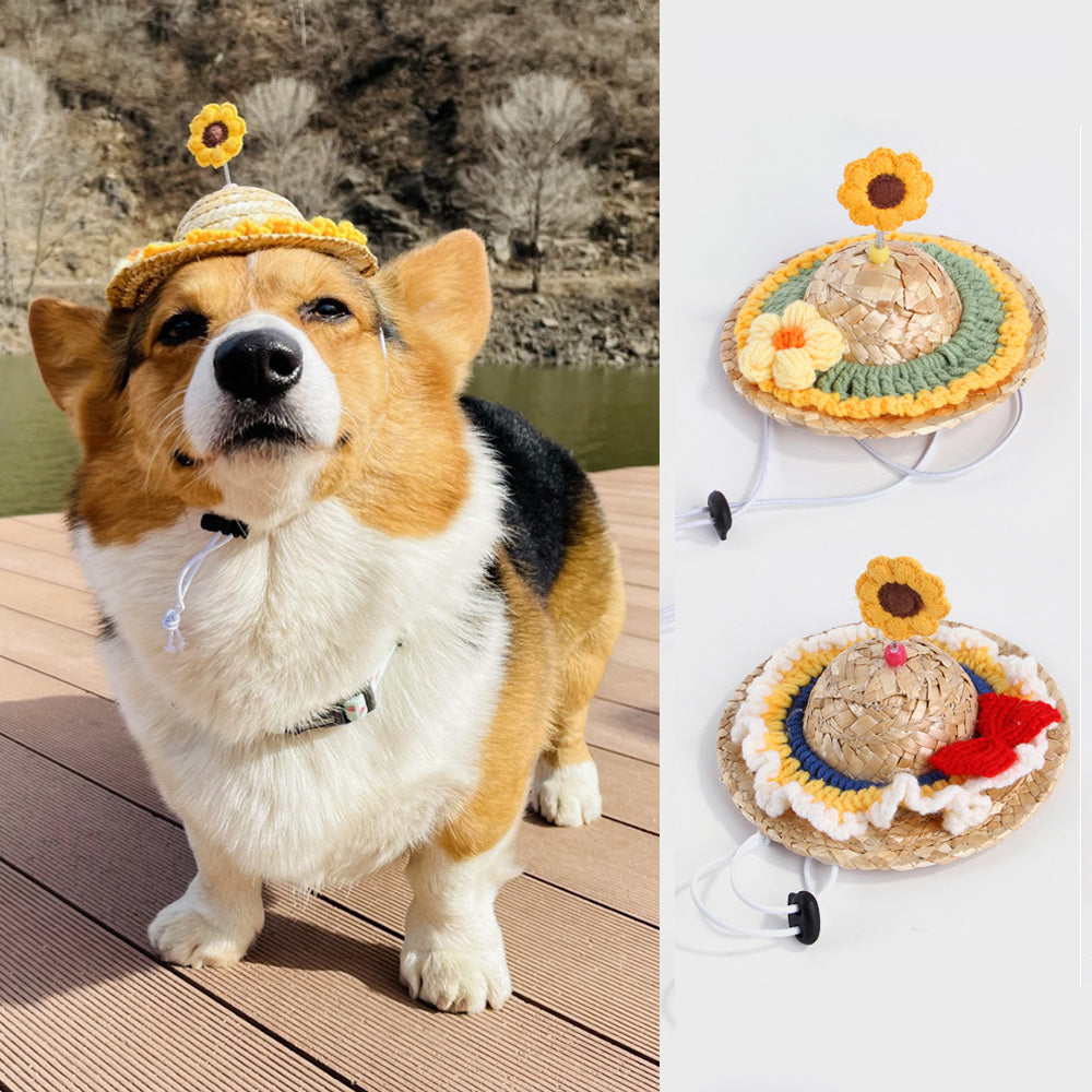 Cute Pet Hat – Decorative Puppy Headwear for Photos