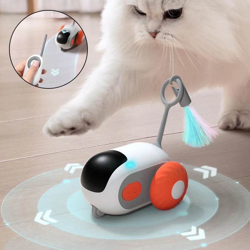Riospets Remote Control Cat Car - Automatic & Quiet