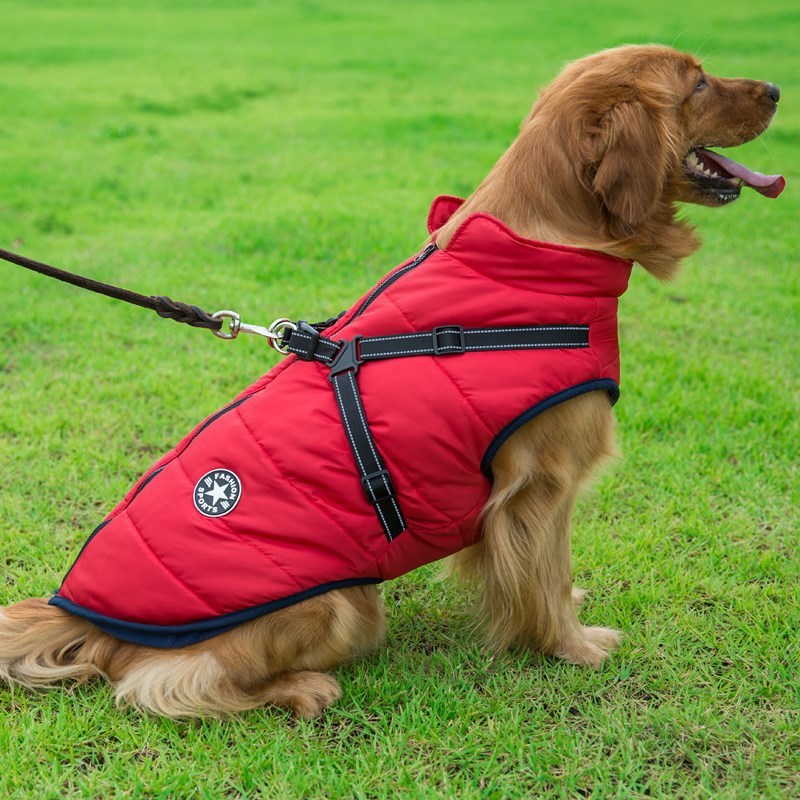 Winter Cotton Dog Vest – Chest-Back Integrated Pet Coat
