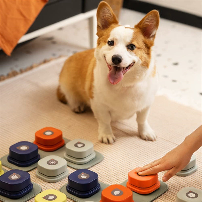 Recordable Pet Communication Buttons – 4 Colors Talking Training Set