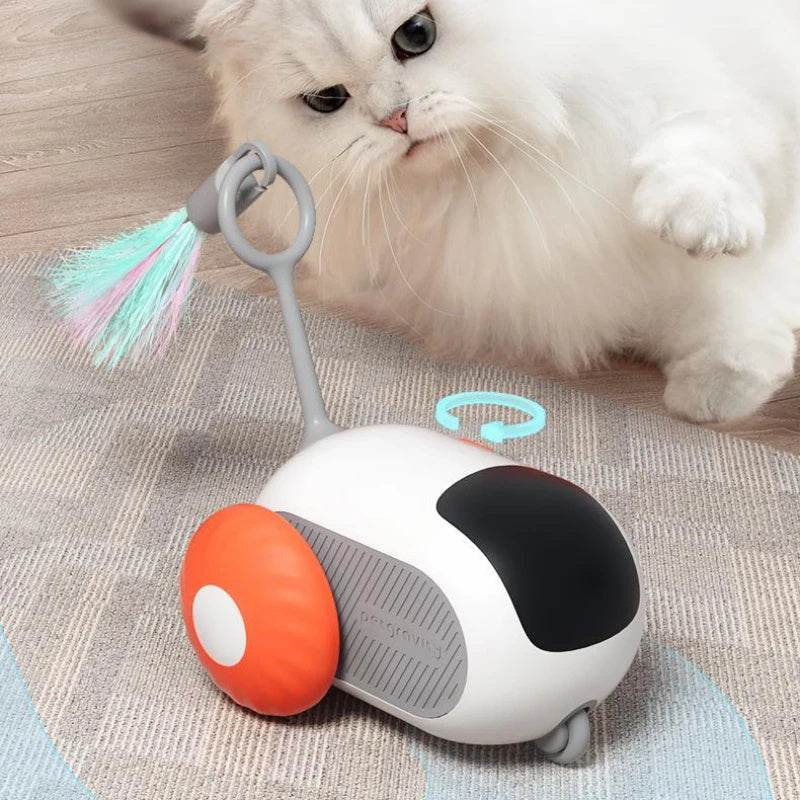 Riospets Remote Control Cat Car - Automatic & Quiet