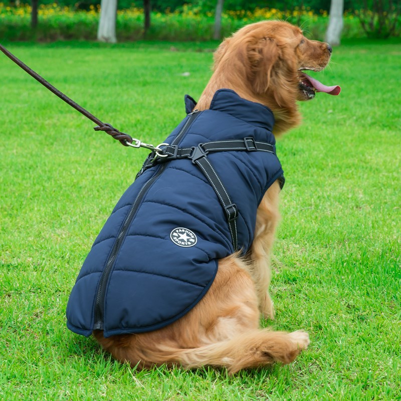 Winter Cotton Dog Vest – Chest-Back Integrated Pet Coat