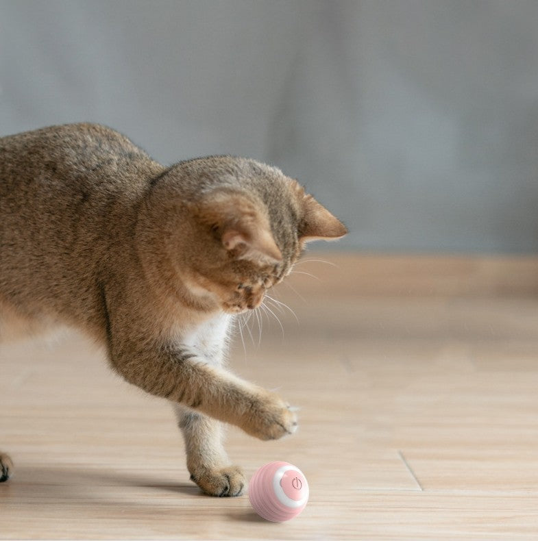 Automatic Bouncing Ball – Self-Moving Smart Cat Toy