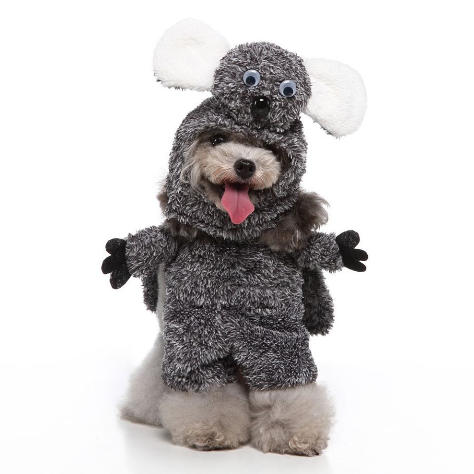 European Style Pet Clothes – Fashion Dog & Cat Apparel