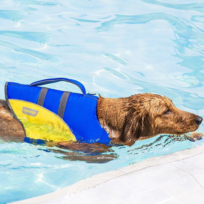 Dog Life Jacket – Safety Swimming Vest for Small to Large Dogs