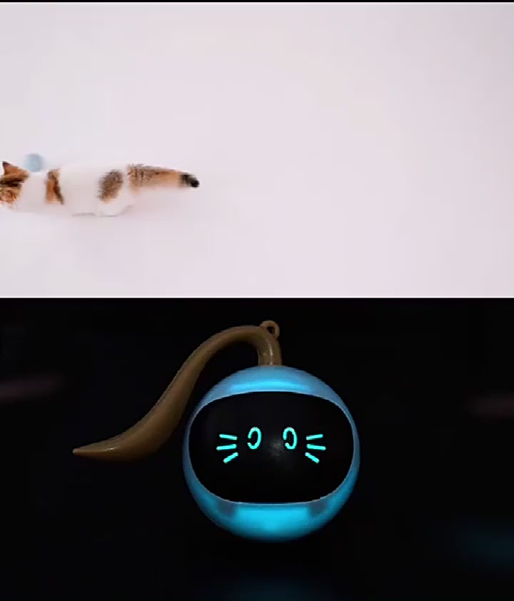 Smart LED Cat Ball – Colorful Rotating Interactive Pet Toy