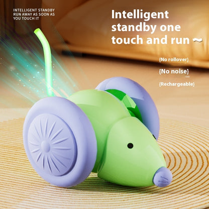 Riospets Interactive Electric Cat Mouse Toy
