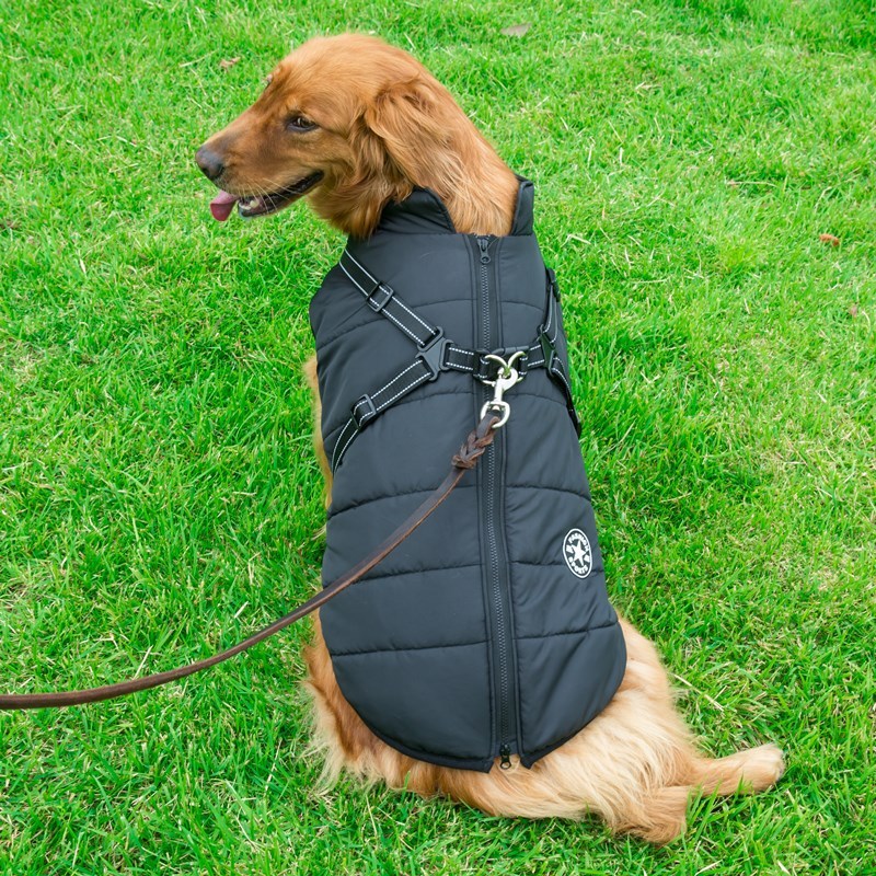 Winter Cotton Dog Vest – Chest-Back Integrated Pet Coat