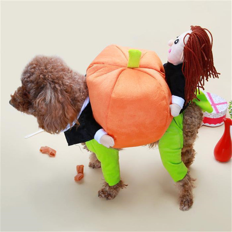 Pet Halloween Pumpkin Decoration – Festive Costume Accessory
