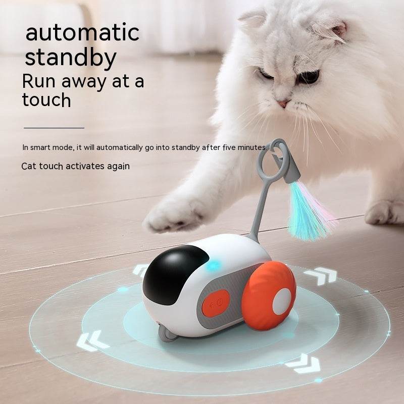 Riospets Remote Control Cat Car - Automatic & Quiet