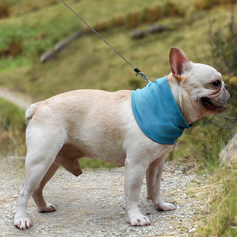 Cooling Pet Bandana – Summer Ice Scarf for Dogs & Cats