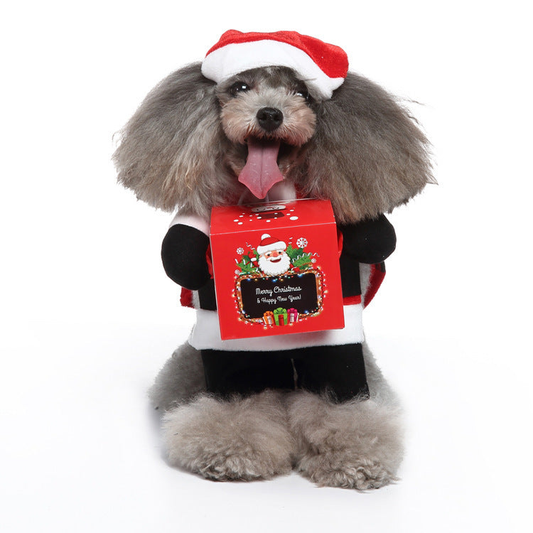 European Style Pet Clothes – Fashion Dog & Cat Apparel