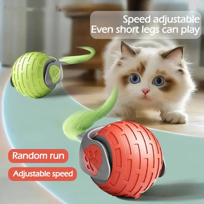 Riospets Smart Cat Ball - Quiet, USB Electric Rolling Toy