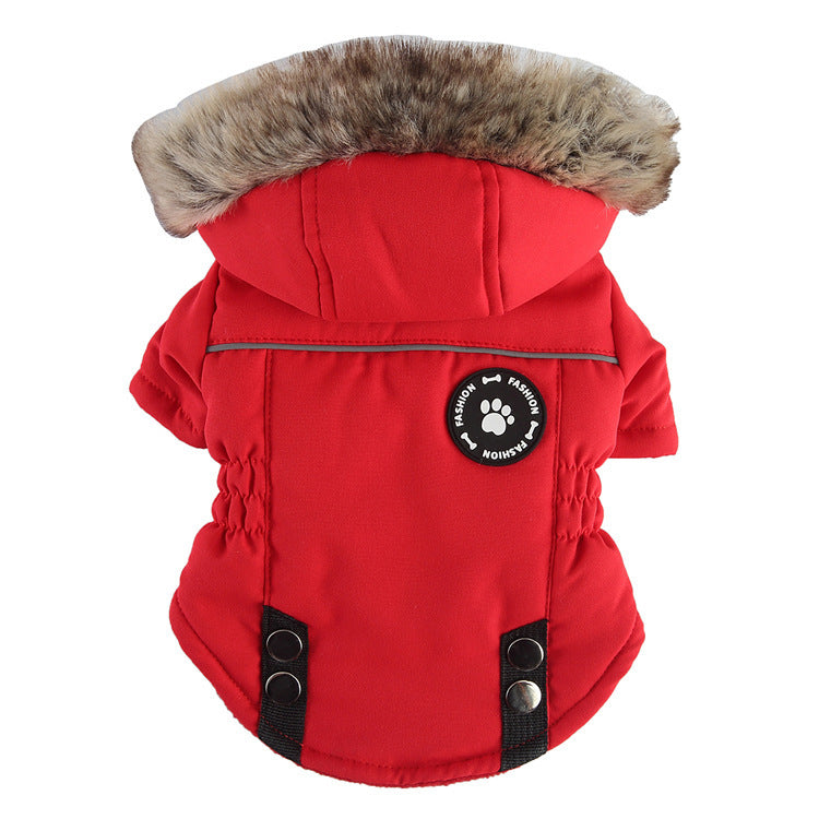 Winter Dog Clothes – Zipper Cotton Jacket for Small Pets