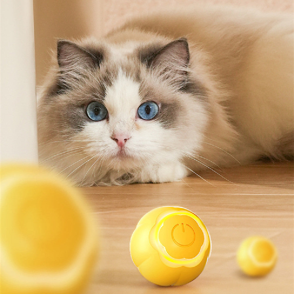 Smart Rolling Ball for Cats – Boredom Relief Bite-Resistant Toy