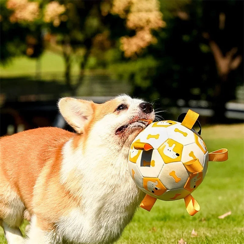 Interactive Dog Football Toy – Outdoor Training Bite-Resistant Ball