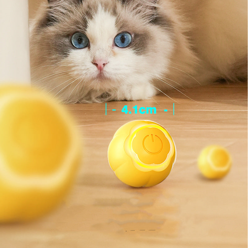 Smart Rolling Ball for Cats – Boredom Relief Bite-Resistant Toy