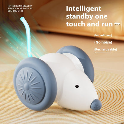 Riospets Interactive Electric Cat Mouse Toy