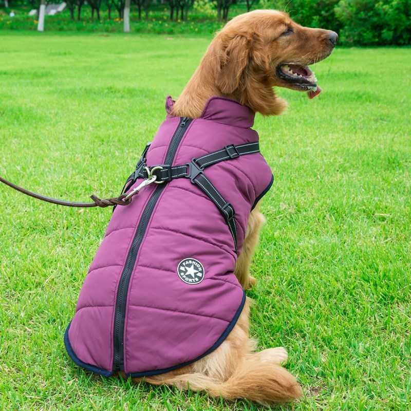Winter Cotton Dog Vest – Chest-Back Integrated Pet Coat