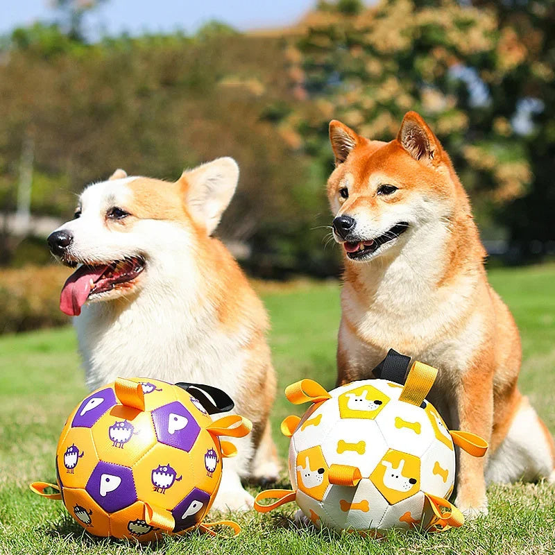 Interactive Dog Football Toy – Outdoor Training Bite-Resistant Ball