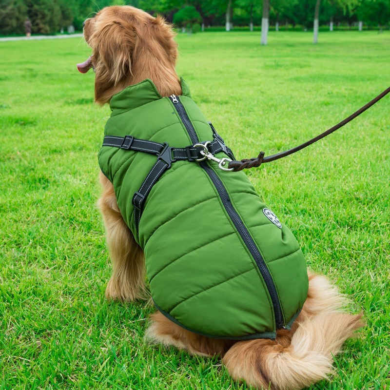 Winter Cotton Dog Vest – Chest-Back Integrated Pet Coat