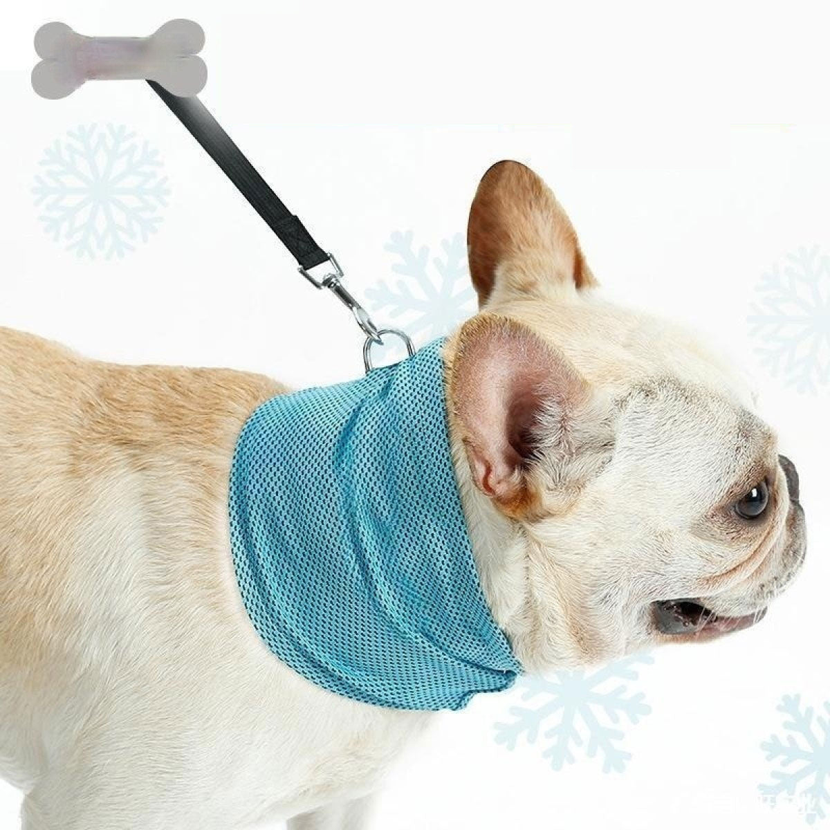 Cooling Pet Bandana – Summer Ice Scarf for Dogs & Cats