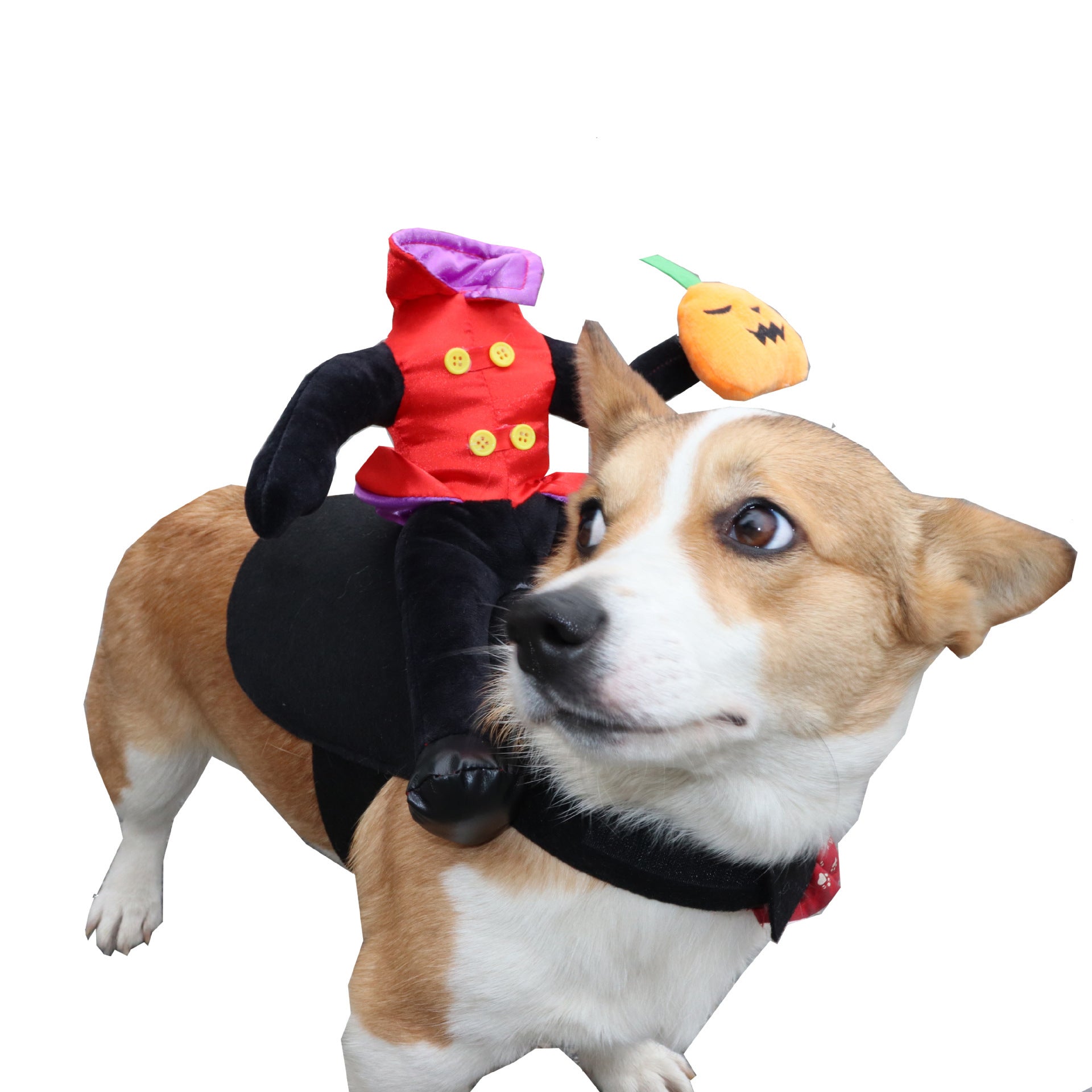 Halloween Dog Costume – Funny Pet Outfit for Parties
