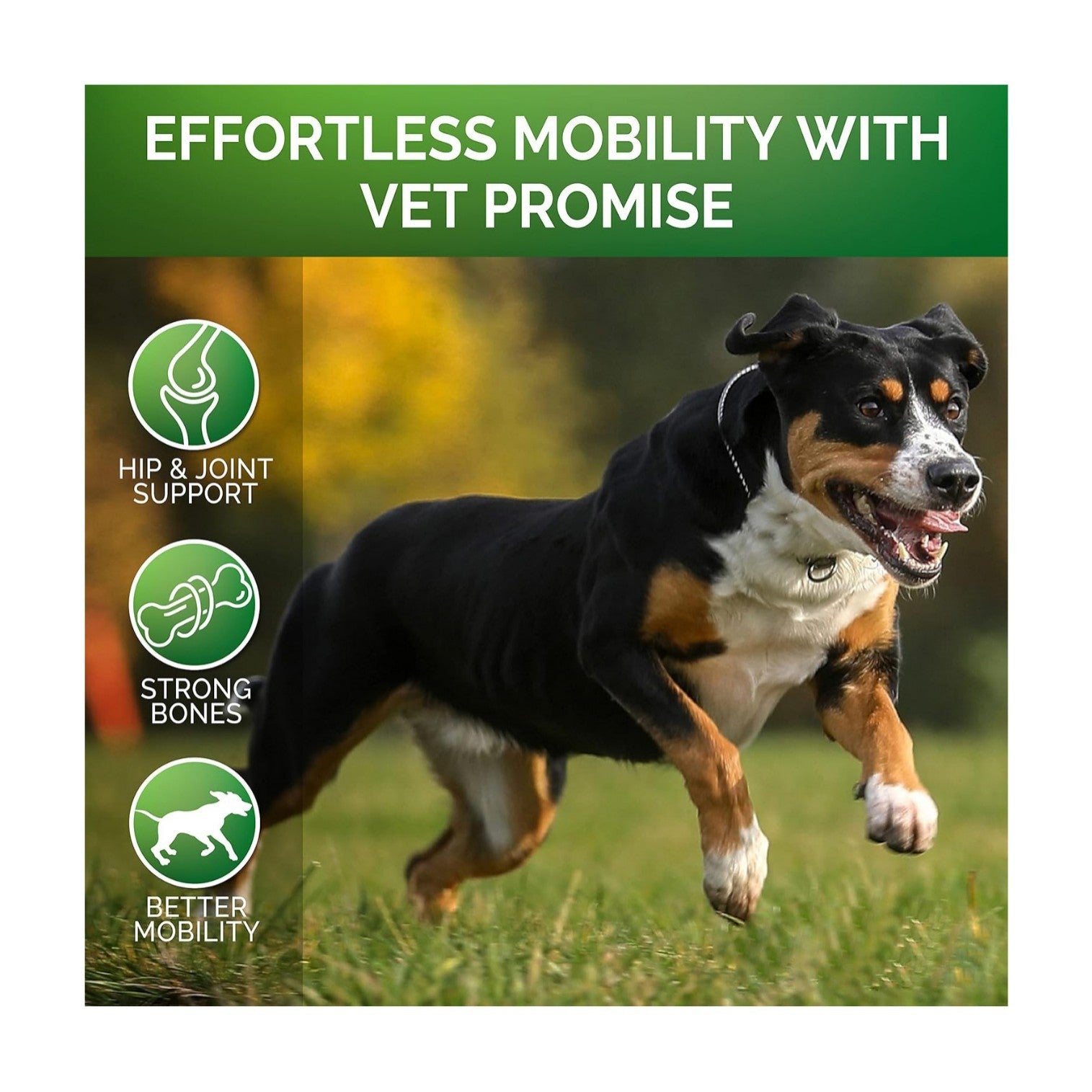 Hip & Joint Support Supplement for Dogs – With Chondroitin & Glucosamine