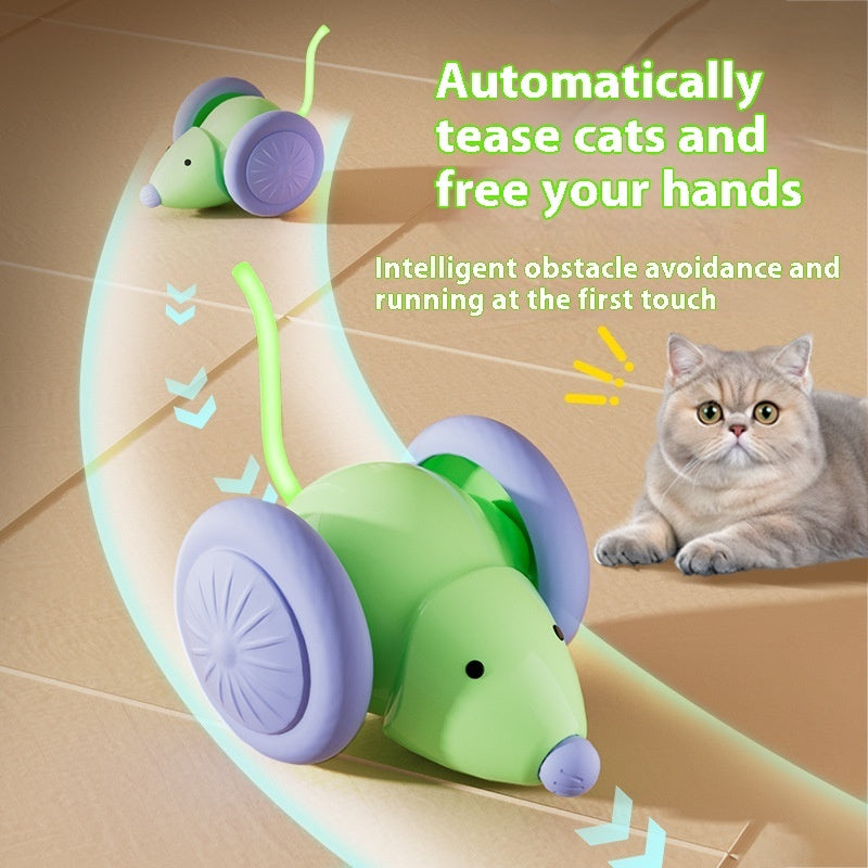 Riospets Interactive Electric Cat Mouse Toy