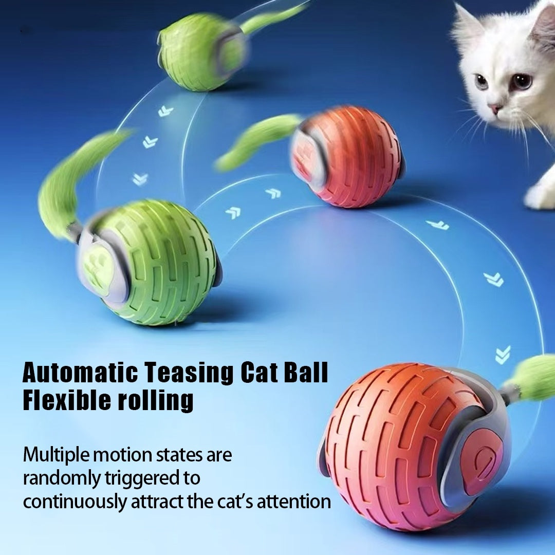 Riospets Smart Cat Ball - Quiet, USB Electric Rolling Toy