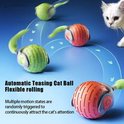 Riospets Smart Cat Ball - Quiet, USB Electric Rolling Toy