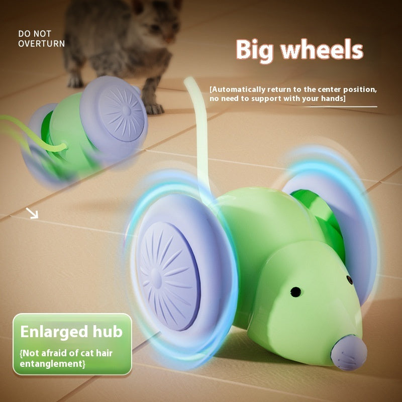 Riospets Interactive Electric Cat Mouse Toy