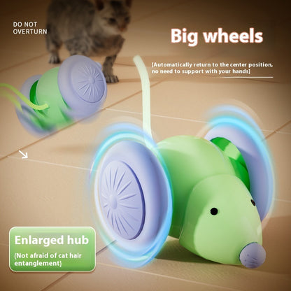 Riospets Interactive Electric Cat Mouse Toy