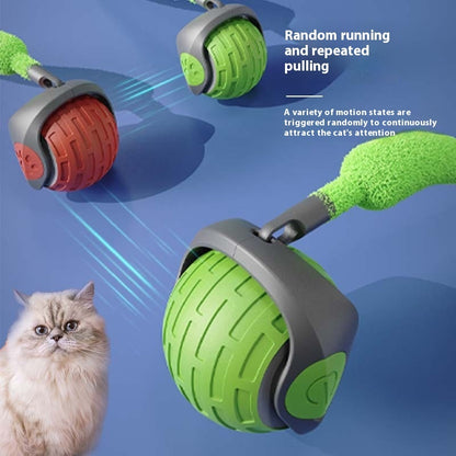 Riospets Smart Cat Ball - Quiet, USB Electric Rolling Toy