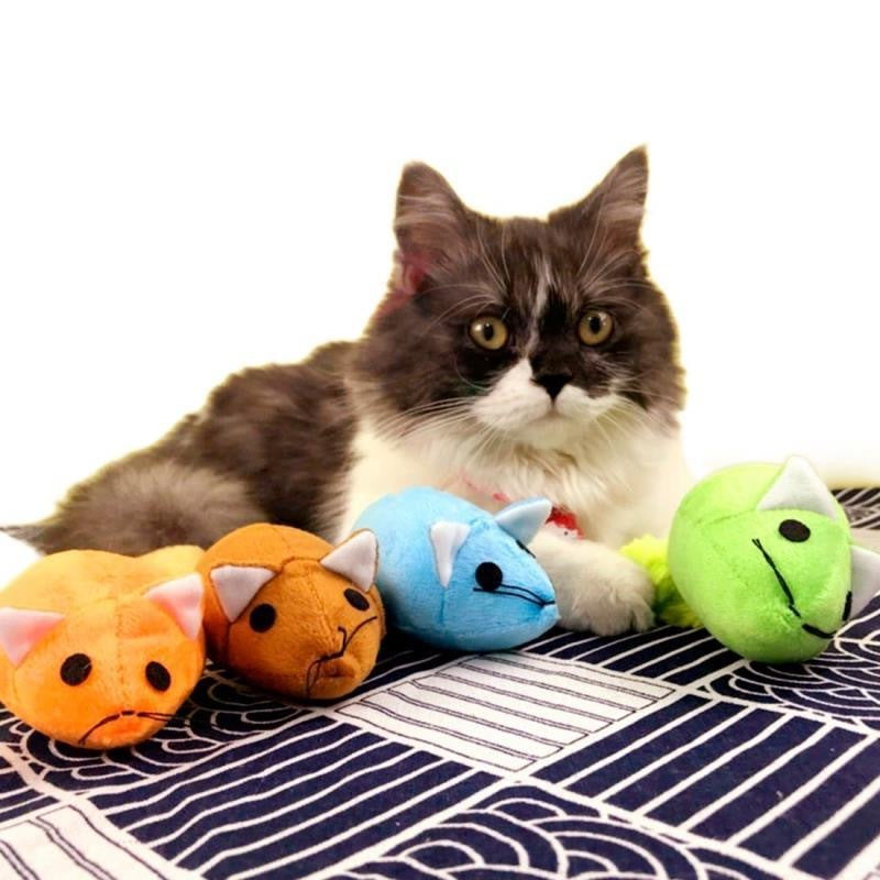 Mouse Tail Cat Toy – Interactive Teaser Training Play Toy