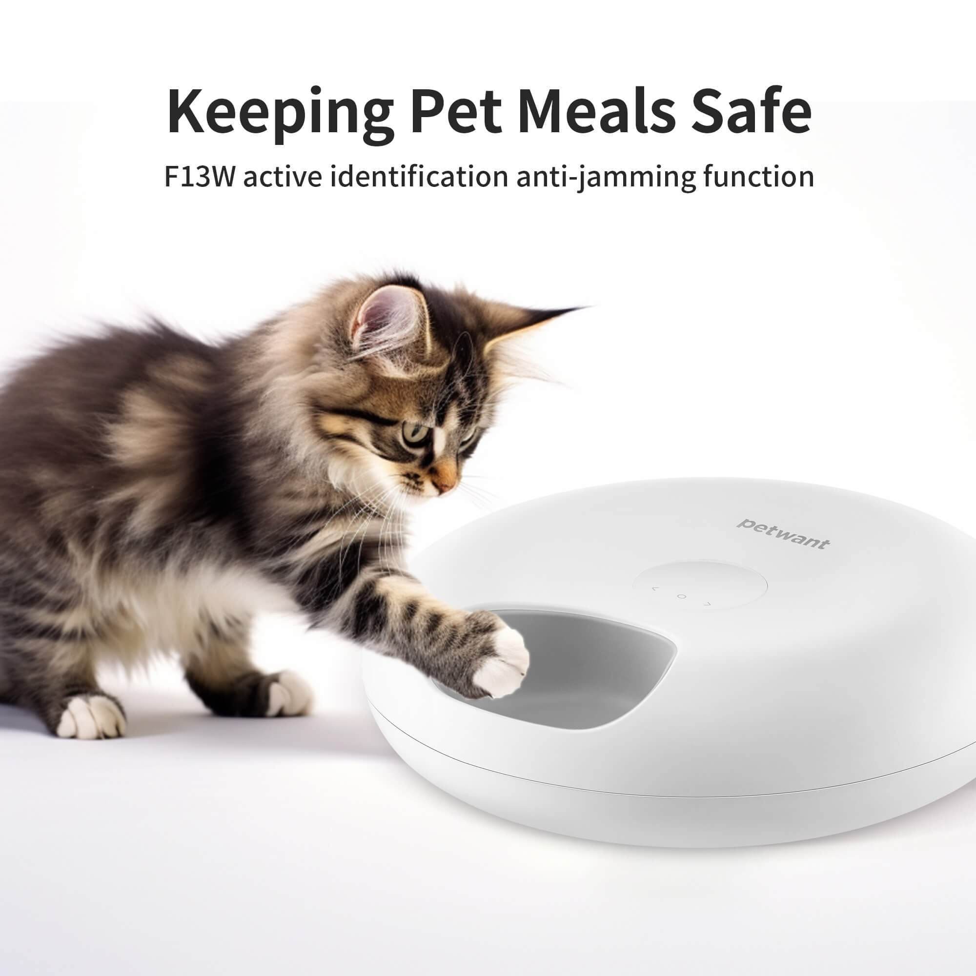 Donut Frost Smart WiFi Pet Feeder – App-Controlled Automatic Cat & Dog Food Dispenser