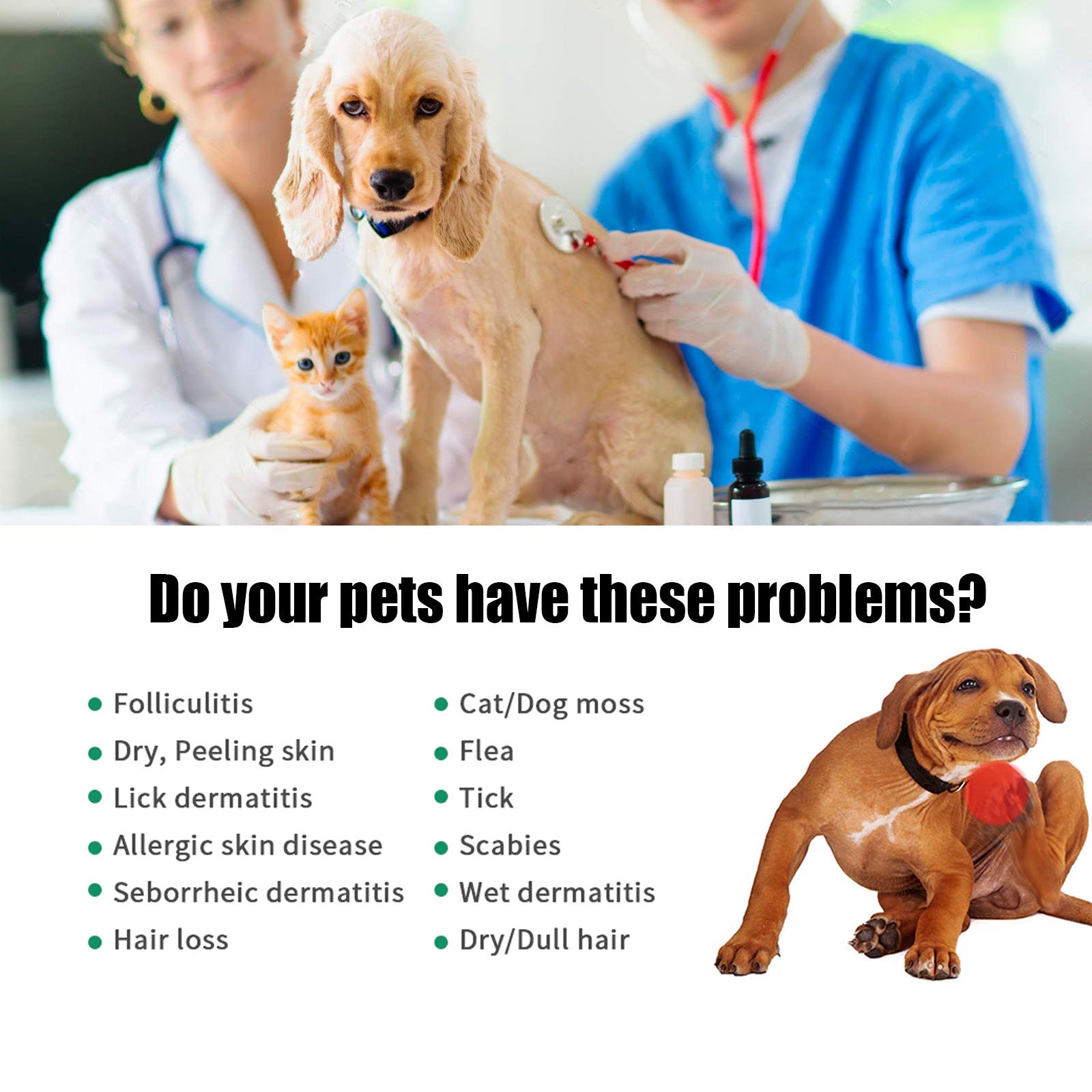 Pet Hair & Skin Care Solution – Anti-Itch, Soft & Fluffy Coat Formula