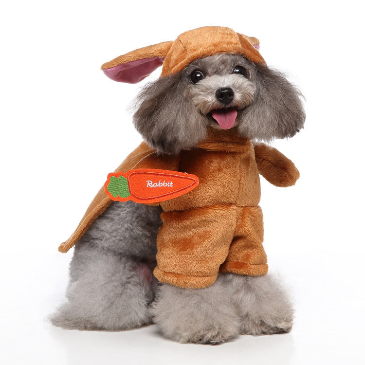 European Style Pet Clothes – Fashion Dog & Cat Apparel