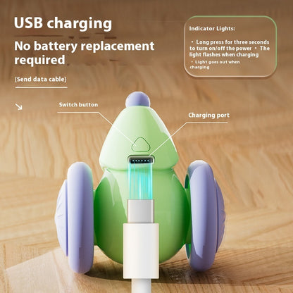 Riospets Interactive Electric Cat Mouse Toy