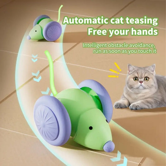 Riospets Interactive Electric Cat Mouse Toy