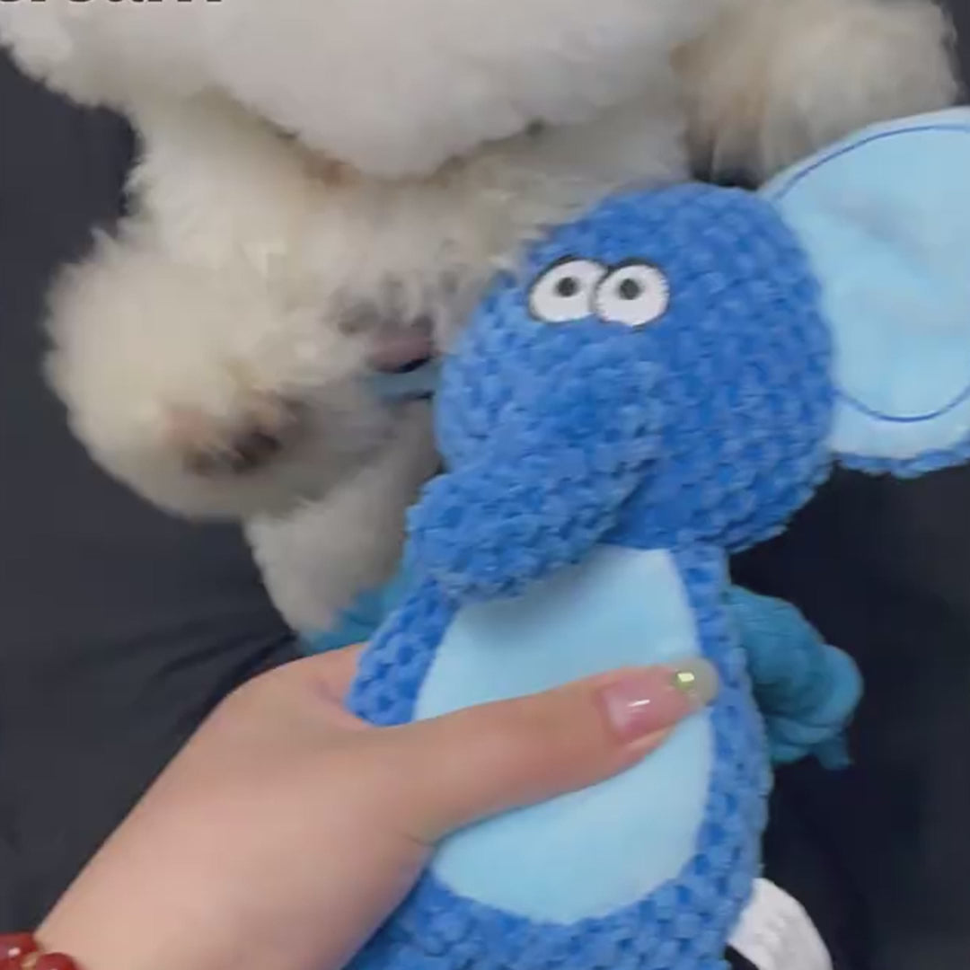 Plush Rope Dog Toy – Interactive Tug & Training Chew Toy