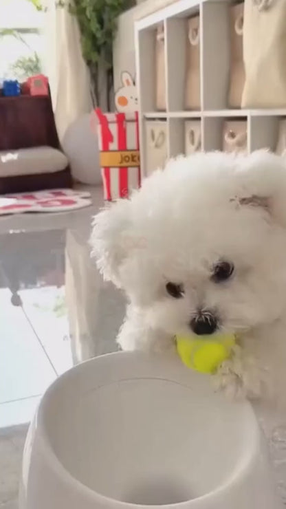 Automatic Dog Ball Launcher - Interactive Fetch Toy