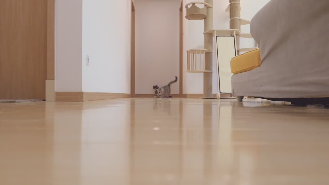 Laser Pointer Cat Toy – USB Rechargeable Red Dot Teaser Stick
