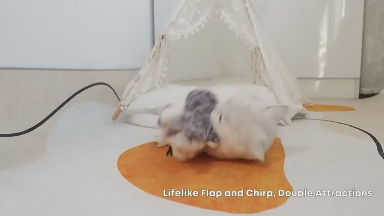 Riospets Automatic Flapping Bird Cat Toy