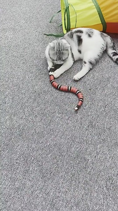 Interactive Electric Induction Snake Funny Cat Toy