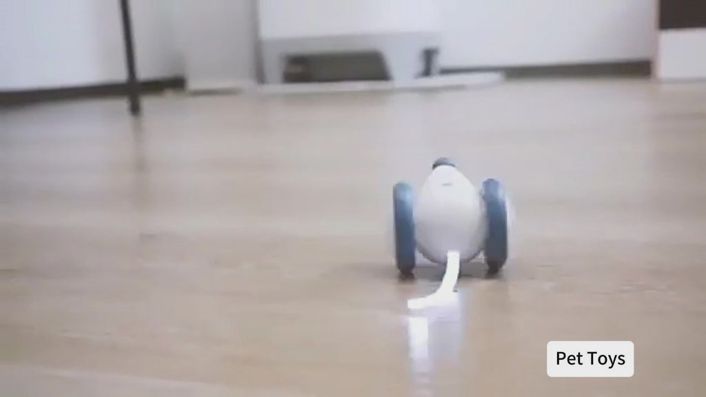 Riospets Interactive Electric Cat Mouse Toy