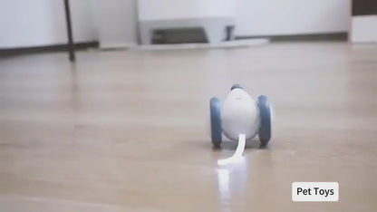 Riospets Interactive Electric Cat Mouse Toy